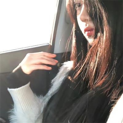锦囊妙录